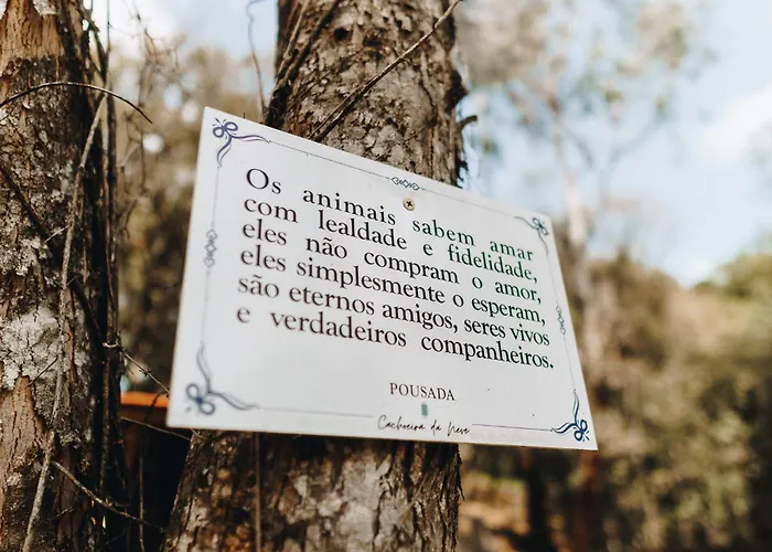 Floresta Secreta- Pousada Cachoeira Da Neve Urubici