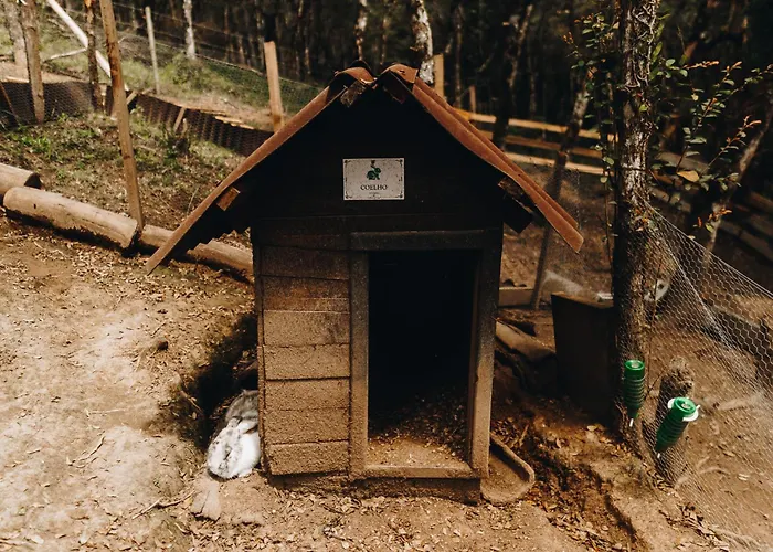 Floresta Secreta- Pousada Cachoeira Da Neve Urubici